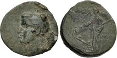Roman Provincial CILICIA, Mallus. Gaius (Caligula)(?). AD 37-41. Æ (18mm, 2.48 g, 12h). Dated 105 of the Pompeian era (AD 37/8). Laureate head left / Tyche lstanding left, holding rudder and palm fron