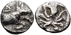 MACEDON, Dikaia. Circa 450-425/0 BC. AR Hemiobol(?) (7mm, 0.28 g, 3h). Forepart of bull right / Octopus. Schönert-Geiss, Bisanthe -; SNG ANS -. Fine, porous. Extremely rare. The Macedonian city of Dik