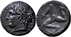 GRIECHISCHE MÜNZEN Sizilien Syrakus Agathokles, 317-289 v. Chr. Bronze 305/295 v. Chr. Kopf des Apollon / Gorgoneion auf Triskeles mit geflügelten Füßen. 9h. Calciati II, S. 249, Em. 121; HGC 1459; Bu