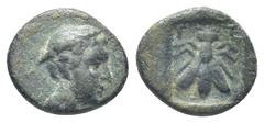 GREEK LYCIA, Telmessos. 2nd-1st centuries BC. Æ (10mm, 1.19 g). Head of Hermes(?) right / Bee; T-E across upper field; all within incuse square.