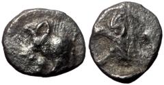 Greek Mysia, Kyzikos, AR Hemiobol, (Silver, 0.35 g 8 mm), Circa 450-400 BC. Mysia, Kyzikos, AR Hemiobol, (Silver, 0.35 g 8 mm), Circa 450-400 BC. Obv: Forepart of boar left; to right, tunny upward. Re