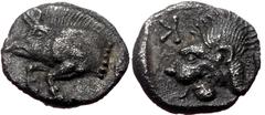 Greek Mysia, Kyzikos, AR Hemiobol, (Silver,0.73 g 8 mm), Circa 525-475 BC. Mysia, Kyzikos, AR Hemiobol, (Silver,0.73 g 8 mm), Circa 525-475 BC. Obv: Forepart of boar left with tall mane and dotted tru