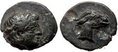 Greek coins Aeolis, Aegae (ca 3rd cent. BC) AE (Bronze, 0.77g, 9mm) Obv: Laureate head of Apollo right Rev: Goat's head right. Ref: SNG Copenhagen 4.