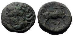 Greek coins Thessaly, Larissa, AE Tetrachalkon, (Bronze, 9.28 g 19mm), ca 356-337 BC. Obv: Head of the nymph Larissa facing slightly to left Rev: ΛΑΡΙ-Σ-[ΑΙΩΝ], horse prancing to right; bukranion? bel