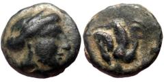 Greek coins Islands off Karia, Rhodos. Rhodes AE (Bronze, 1.19g, 10mm) ca 350-300 BC. Obv: Diademed head of Rhodos right Rev: Rose with bud to right. Ref: SNG Keckman 384-421; SNG Copenhagen 858-9