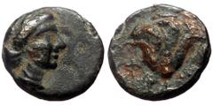 Greek coins Islands off Karia, Rhodos. Rhodes AE (Bronze, 1.10g, 11mm) ca 350-300 BC. Obv: Diademed head of Rhodos right Rev: Rose with bud to right. Ref: SNG Keckman 384-421; SNG Copenhagen 858-9