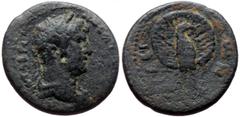 Roman Provincial *Just 3 specimens known to RPC, never recorded by acsearch as well as coinarchives* Peloponnesus (Argolis), Achaea, Argos AE (6.83g, 22mm) Hadrian (117-138) Obv: ΑΥΤ ΑΔΡΙΑΝΟϹ ΚΤΙϹΤΗϹ;