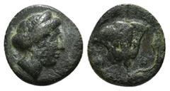 Greek Coins Rhodos, Rhodes Æ Circa 404-385 BC. Head of Rhodos to right, wearing stephane / Rose with buds to left and right; P-O across fields 1,42 g