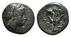 Greek Coins Rhodos, Rhodes Æ Circa 404-385 BC. Head of Rhodos to right, wearing stephane / Rose with buds to left and right; P-O across fields 1,37 g