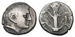 CYRENAICA. Cyrene. Ca. 308–277 or later. AR didrachm (7.53 gm). Head of Carneios right / K—Y / P—A, silphium plant, cornucopia to right. BMC Cyrenaica 228–233. SNG Copenhagen 1234–1235 (described with