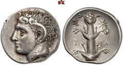 Druckrey Collection: GREEK COINS CYRENAICA KYRENE. AR-Didrachme, 308/277 v. Chr.; 7.53 g. Karneioskopf l.//Silphium, l. Monogramm, r. Stern. BMC 238; SNG Cop. 1238; Lathe Biosas S. 588 (dies Exemplar)