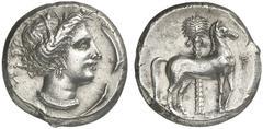 TETRADRACHMEN DES HELLENISMUS DIE SAMMLUNG DIETER GRUNOW, BERLIN GRIECHEN SICILIA PUNIER AR-Tetradrachme, 350/320 v. Chr., Lagermünzstätte; 17,55 g. Korekopf r., von drei Delphinen umgeben//Pferd steh