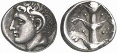 GRIECHISCHE MÜNZEN (GREEK COINS) CYRENAICA KYRENE. AR-Didrachme, 308/277 v. Chr.; 7.42 g. Karneioskopf l.//Silphium, l. Monogramm, r. Stern. BMC 238; SNG Cop. 1238. Sehr schönes Exemplar Zur Zeit der 