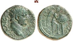 THE SAMEL COLLECTION OF JEWISH COINS AND MEDALS The Aftermaths of the Great Revolt – The Romans' Victory Celebrations and the Humiliation of the Defeated (70-81 CE). Flavian dynasty, 71-96. Æ-20 mm, 7