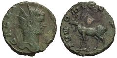 Gallienus mule with reverse of Salonina. 253-268 AD. Antoninianus, 2.81g. (h). Rome, c. 267-8 AD. Obv: GALLI[ENVS AV]G Head radiate right. Rx: IVN - O - NI CO[NS AVG] Combined goat and stag walking le