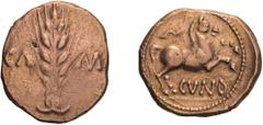 Ancient Greek Celtic. Britain. Trinovantes. Cunobeline. Stater. 20-43 AD. Stater, 5.45g (9h). Celtic, Trinovantes, Classic type. Obv: Grain ear with central stalk and awns; CA - M[V] across field. Rx: