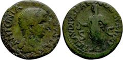 Roman Imperial Coins ANTONIA II (Augusta, 37 & 41). Dupondius. Rome. Obv: ANTONIA AVGVSTA. Draped bust right. Rev: TI CLAVDIVS CAESAR AVG P M TR P IMP / S - C. Claudius standing left, veiled, holding 