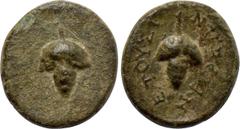 LYDIA. Nysa. Ae (1st century BC). Dated year 1. Obv: Grape bunch. Rev: NYΣAEΩN ETOYΣ I. Grape bunch. SNG von Aulock -; SNG Copenhagen -; BMC -; Asia Minor Coins online -; apparently unpublished. Extre