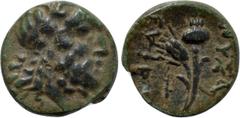LYDIA. Nysa. Ae (1st century BC). Euphanor, magistrate. Obv: Laureate head of Hades right. Rev: NVΣA / EVΦΡ. Grain ear and poppy. SNG von Aulock -; SNG Copenhagen -; BMC -; Regling 24. Ex Aufhäuser 15