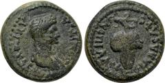 LYDIA. Philadelphia. Domitia (Augusta, 82-96). Ae. Lagetas, magistrate for the second time. Obv: ΔOMITIA AVΓOVCTA. Draped bust right. Rev: ЄΠI ΛAΓЄT ΦIΛAΔЄΛΦЄ. Grape bunch. RPC II 1336.24 (this coin c