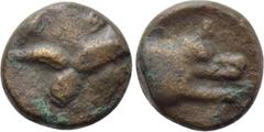 Greek Coins UNCERTAIN. Argos(?) Ae (Circa 3rd-2nd centuries BC). Obv: Uncertain. Rev: Head of hound (or wolf) right. . Condition: Very fine. Weight: 0.98 g. Diameter: 9 mm.
