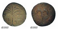 Bar Kochba War, 132-135 AD. Medium Bronze, Year 1, 132-133 AD. Obverse: Seven branched palm tree, beneath in ancient Hebrew "Simon, Prince of Israel." Reverse: Vine leaf on a tendril, ancient Hebrew, 