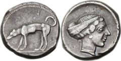 SICILY. Segesta. Ca. 450-416 BC. AR didrachm (22mm 8.40 gm, 9h). Hound standing to left, its head lowered, on the scent / Head of Segesta facing to right, hair tied with a broad band. SNG ANS 624 (sam