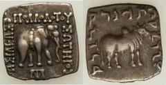 INDO-GREEK KINGDOM. Apollodotus I Soter (ca. 174-160 BC). AR square Indic drachm (2.39 gm). ΒΑΣΙΛΕΩΣ ΑΠΟΛΛΟΔΟΤΟΥ ΣΩΤΗΡΟΣ, elephant right, KP monogram in exergue / Kharosthi legend Maharajasa Apaladata
