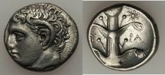 CYRENAICA. Cyrene. Magas (ca. 300-275 BC). AR didrachm (7.53 gm). Bare head of Apollo-Carneius left, with horn of Ammon / Silphium plant, star to upper right. SNG Copenhagen 1238. Lightly toned with u