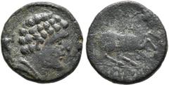 Hispania Antigua CONTERBIA CARBICA (Huete, Cuenca). Semis. (Ae. 2,98g/16mm). 120-80 a.C. (FAB-855). Anv: Cabeza masculina a derecha, detrás delfín. Rev: Caballo saltando a derecha, debajo leyenda ibér