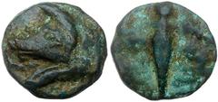 Ancient Coins Etruria, Tarquinii. AE Aes Grave As (295.21 g), ca. 275 BC. Forepart of boar left. Reverse: Spearhead. ICC 121; HN Italy 215. Extremely Rare. Green and brown patina. Very Fine. Estimated