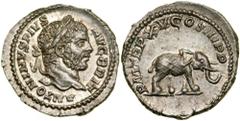 Caracalla. Silver Denarius (3.26 g), AD 198-217. Rome, AD 212. ANTONINVS PIVS AVG BRIT, laureate head of Caracalla right. Reverse PM TR P XV COS III P P, armored elephant walking right. RIC 199; BMC 4