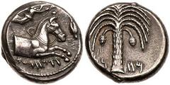 Sicily, Entella. Silver Tetradrachm (17.59 g), ca. 407-398 BC. Siculo-Punic issue. 'QRTHDST' (Neo-Punic) below, forepart of horse right; above, Nike flying right, crowning horse with wreath and holdin