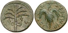 Judean Coins Judaea, Bar Kokhba Revolt. Æ Medium Bronze (11.93 g), 132-135 CE. Year 2 (133/4 CE). 'Sma' (abbreviating Simon; Paleo-Hebrew), seven-branched palm tree with two bunches of dates. Reverse: