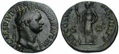 DOMITIEN Auguste (81-96), AE sesterce, 81, Rome. Droit : IMP CAES DIVI VESP F DOMITIAN AVG P M Tête l. à droite, l'épaule gauche drapé. Revers : TR P COS VII- DES VIII P P/ S-C Minerve debout à gauche