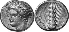 Magna Graecia Lucania Metapontum Estimate: CHF 5'500.00 Stater (Silver, 7.96 g 6), c. 335-330, signed by Kal... Head of Dionysos, three-quarters facing to left, wearing wreath of ivy; behind, . Rev. E