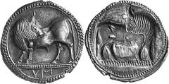 Magna graecia Lucania Sybaris Estimate: CHF 18'000.00 Stater (Silver, 8.02 g), c. 520. Bull standing to left on dotted ground line, head turned back to right; dotted cable border. Rev. Bull, incuse, s
