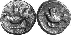 Sicyon The coinage of Sicyon c. 431-400 Estimate: CHF 150.00 Hemiobol (AE, 2.56 g, 13.5 mm, 10), c.420/400. Dove standing left on ground line; above, . Rev. Dove flying left with wings open above and 