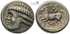 Celts | Kelten Southwestern Slovakia. Celts. Tetradrachm (3rd/2nd century BC). Head of Apollo / lily type. Nice patina. Rare! Südwestslowakei. Kelten. Tetradrachme (3./2. Jh. v. Chr.). Typ Apollokopf 