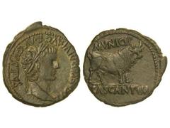 As. ÉPOCA DE TIBERIO. CASCANTUM. Anv.: TI. CAESAR DIVI. AVG. F. AVGVSTVS. Cabeza laureada de Tiberio a derecha. Rev.: MVNICIP. CASCANTVM. Toro a derecha. 10,80 grs. Pátina verde oscura. N y T sin enla