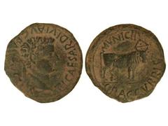 As. ÉPOCA DE TIBERIO. CALAGURRIS. Anv.: TI. CAESAR DIVI AVG. F. AVGVSTVS. Cabeza laureada de Tiberio a derecha. Rev.: MVNICIP. GRACCVRRIS. Toro mitrado a derecha. 13,20 grs. Pátina verde oscura. AB-13