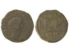 As. ÉPOCA DE TIBERIO. CASCANTUM. Anv.: TI. CAESAR DIVI AVG. F. AVGVSTVS. Cabeza laureada de Tiberio a derecha. Rev.: MVNICIP. CASCANTVM. Toro a derecha. 10,50 grs. Pátina oscura. AB-690. BC+.