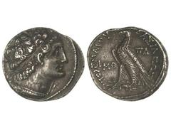 Tetradracma. 145-116 a.C. PTOLOMEO VIII. EGIPTO. Anv.: Cabeza de Ptolomeo a derecha. Rev.: Águila estante a izquierda, alrededor leyenda. 14,07 grs. Pátina. Se-7908 sim. EBC-.