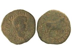 As. ÉPOCA DE TIBERIO. CALAGURRIS. Anv.: TI. (CAESAR) DIVI. AVG. F. AVGVSTVS. Cabeza laureada de Tiberio a derecha. Rev.: G. CE(LERE.) G. RECTO II VIR. M. C. I. Toro a derecha. 11,80 grs. Pátina verde.