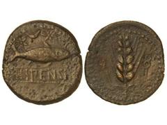 Dupondio. ILIPENSE. Anv.: Sábalo a derecha, encima creciente entre estrellas, debajo entre líneas ILIPENSE. Rev.: Espiga entre dos caduceos. 15,60 grs. Pátina oscura. AB-1530. (MBC+).