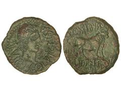 CELTIBERIAN COINS As. ÉPOCA DE AUGUSTO. CELSA. Anv.: COL. V I. CELSA II VIR. Cabeza de Augusto a derecha. Rev.: L. POMPE. BVCCO. L. CORNE. FRONT. Toro a derecha. 13 grs. AE. Pátina verdosa. Algo realz