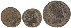 Celtiberian Coins Lote 3 monedas Semis (2) y As. BELIGIOM y BILBILIS (2). AE. Beligium: Semis; Bilbilis: Semis y As. A EXAMINAR. AB-246, 263 y 267. MBC-.