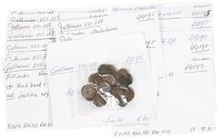 Ancient coins in lots - Lot with appr. 73 Antoniniani: Gallienus (43), Valerianus (8), Claudius II (16), Aurelianus (4), Her. Etruscilla (1) and Saloninus (1), some with descriptions and all F to VF
