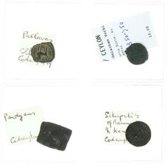 Ceylon - Klein lotje met 4 munten: ½ Kasu Setupati's of Ramnad (C.92), Pandyans (C.6, Mitch.5010), Pallavas (C.19, Mitch.) en 8 Rattis naar Romeins voorbeeld (Mitch.5170)