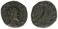 Roman Imperial Coinage Quintillus (270) - AE Antoninianus (Rome, 3.56 g) - DIVO QVINTILLO Radiate head right / CONSECRATIO Eagle (RIC 15 / C. --) - a.VF, an extremely rare coin